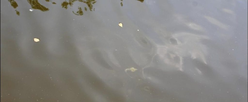 monitoreo-de-turbiedad-en-agua-serie-Q46-ATI-01